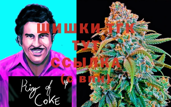 меф Арсеньев
