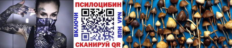 Галлюциногенные грибы Magic Shrooms  сколько стоит  Таруса 